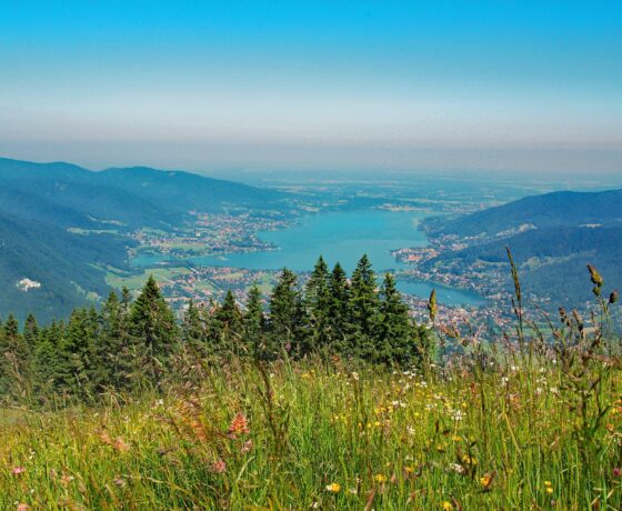 Das Bild zeigt eine idyllische Landschaft mit einem klaren See, der von bewaldeten Bergen umgeben ist. Im Vordergrund blühen bunte Wildblumen auf einer Almwiese, während im Hintergrund kleine Ortschaften entlang des Seeufers zu erkennen sind.