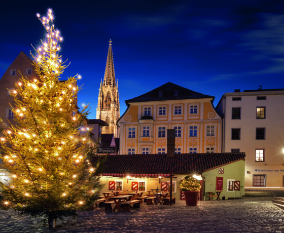 Weihnachtlich beleuchteter Platz in Regensburg mit festlichem Baum, historischen Fassaden und dem Dom im Hintergrund bei Nacht.