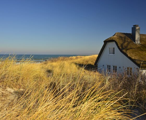 Das Bild zeigt ein weißes Haus mit Reetdach, umgeben von hohen Dünen-Gräsern, mit Blick auf das Meer unter klarem, blauem Himmel.